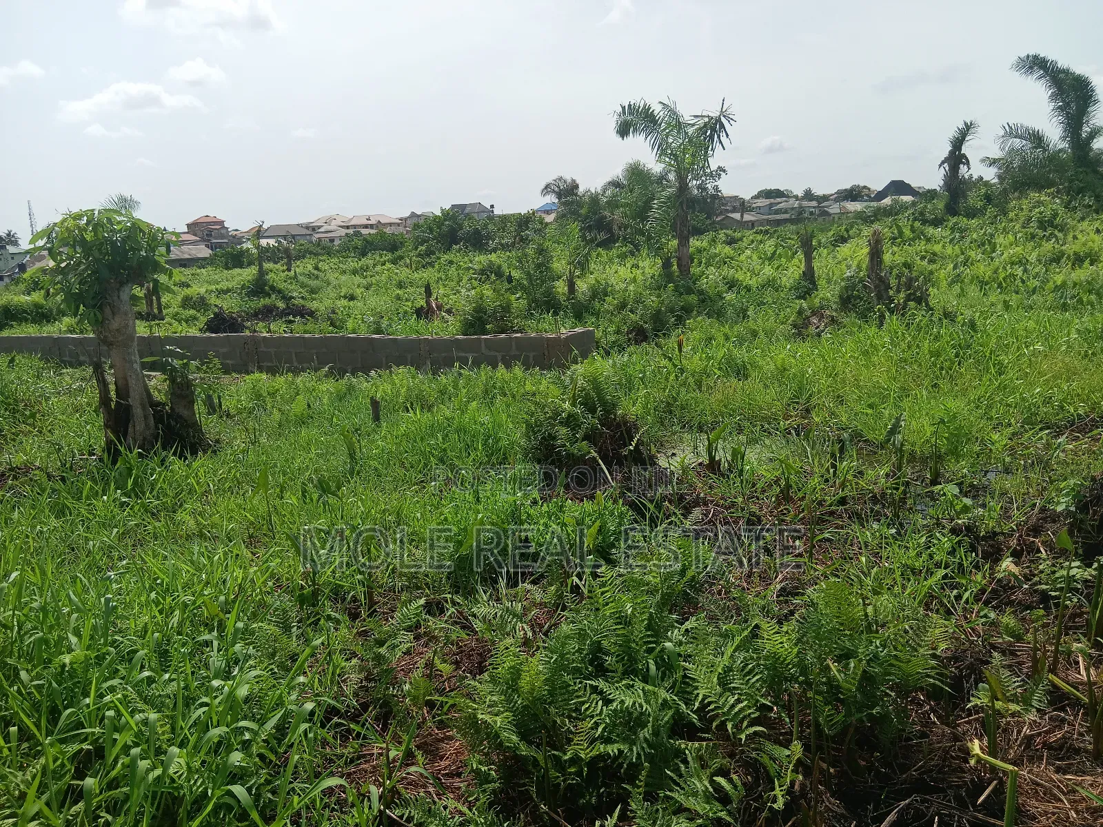 Euc Homes 600sqm Ocean Wood Court Ibeju Leki