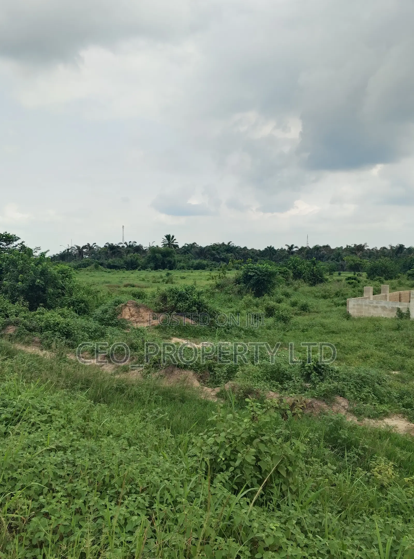 Agriculture Land (Farm Land) Sell.