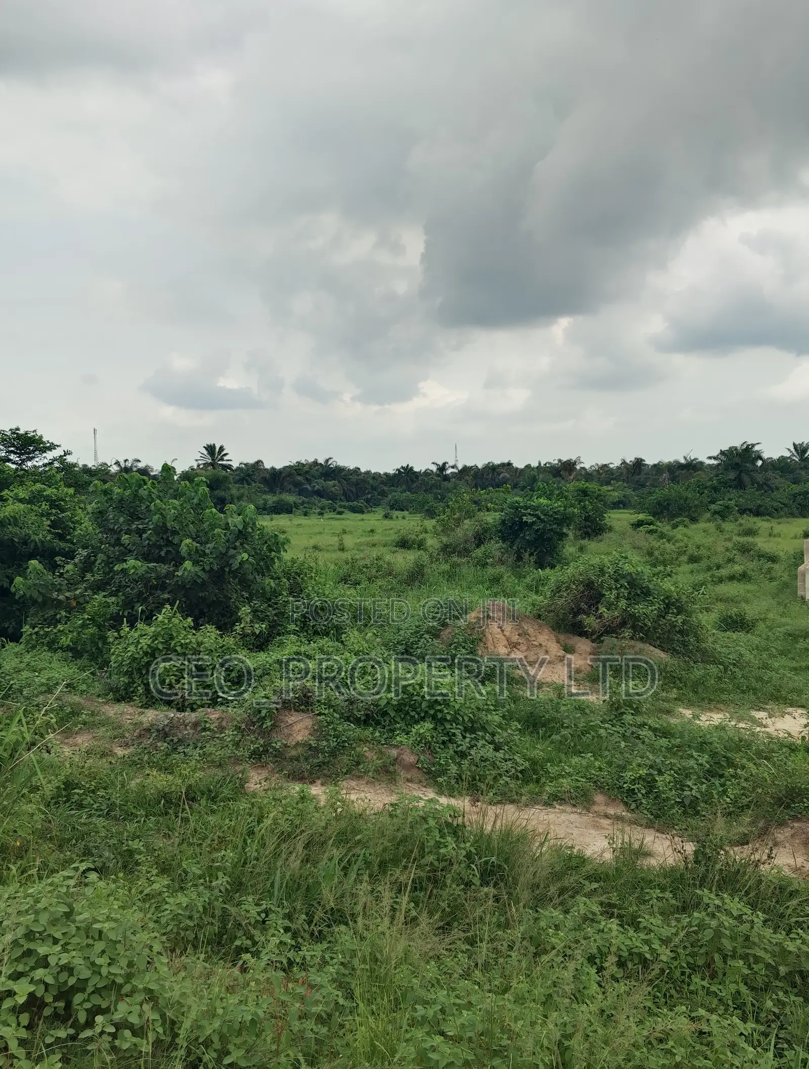 Agriculture Land (Farm Land) Sell.