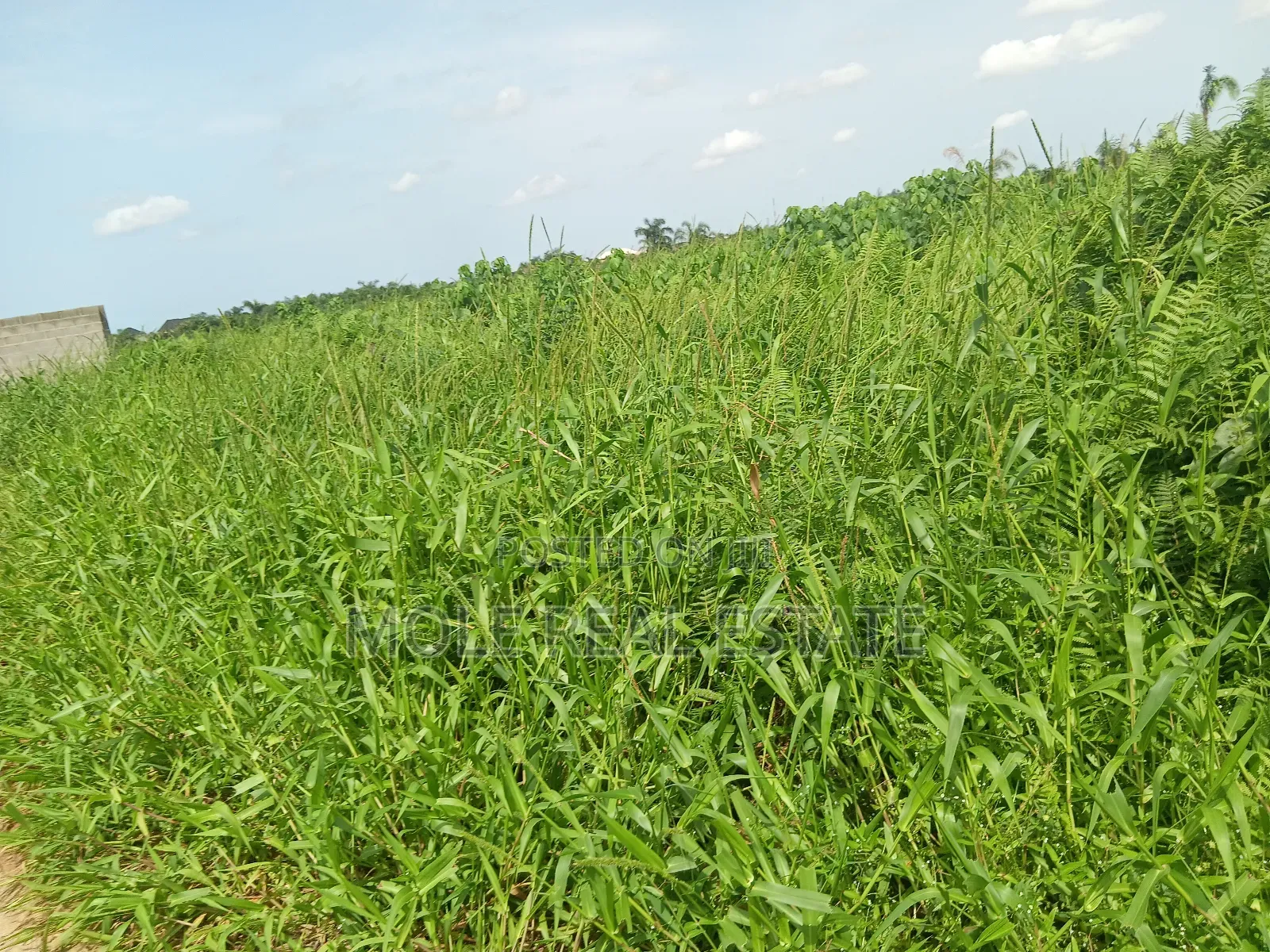 Euc Homes 600sqm Brooksville Courts