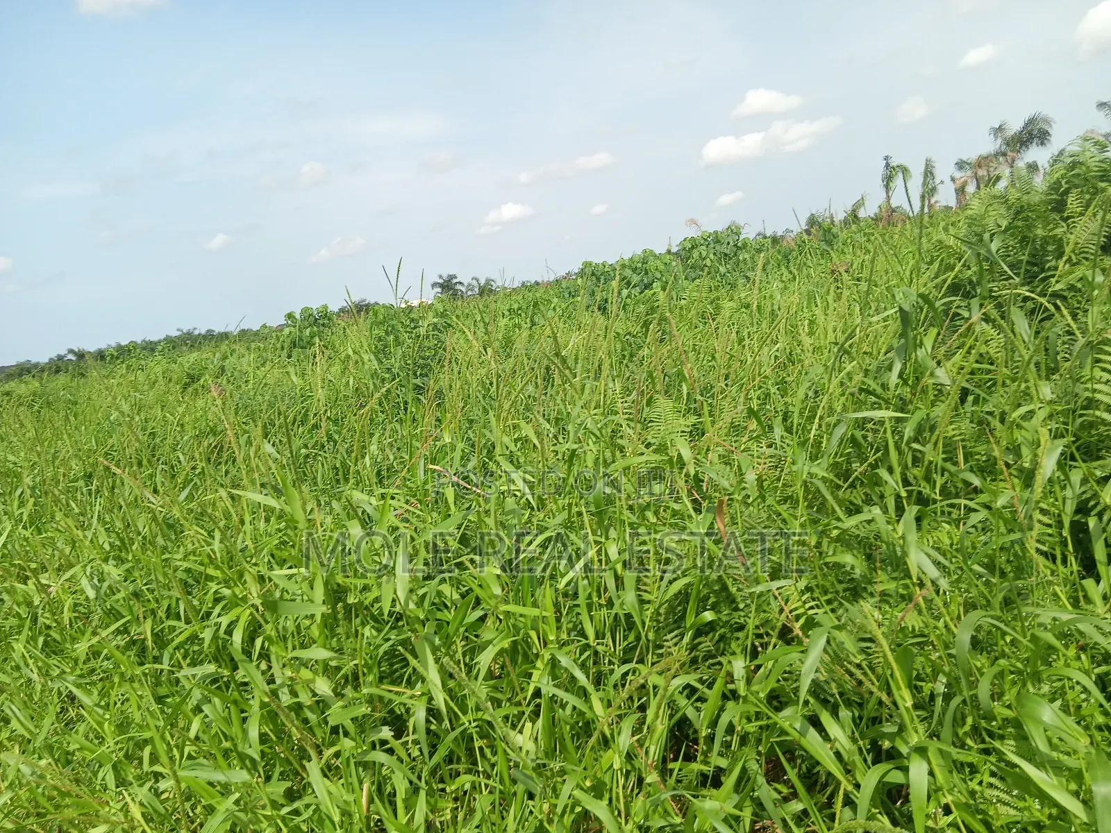 Euc Homes 600sqm Brooksville Courts