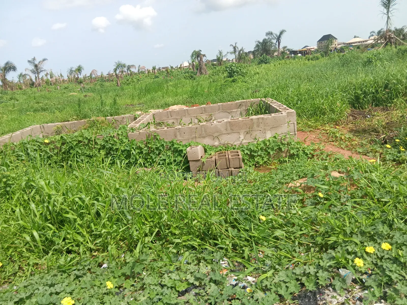 Old Ikoyi Land/ Banana Island 4 Sale ( 1