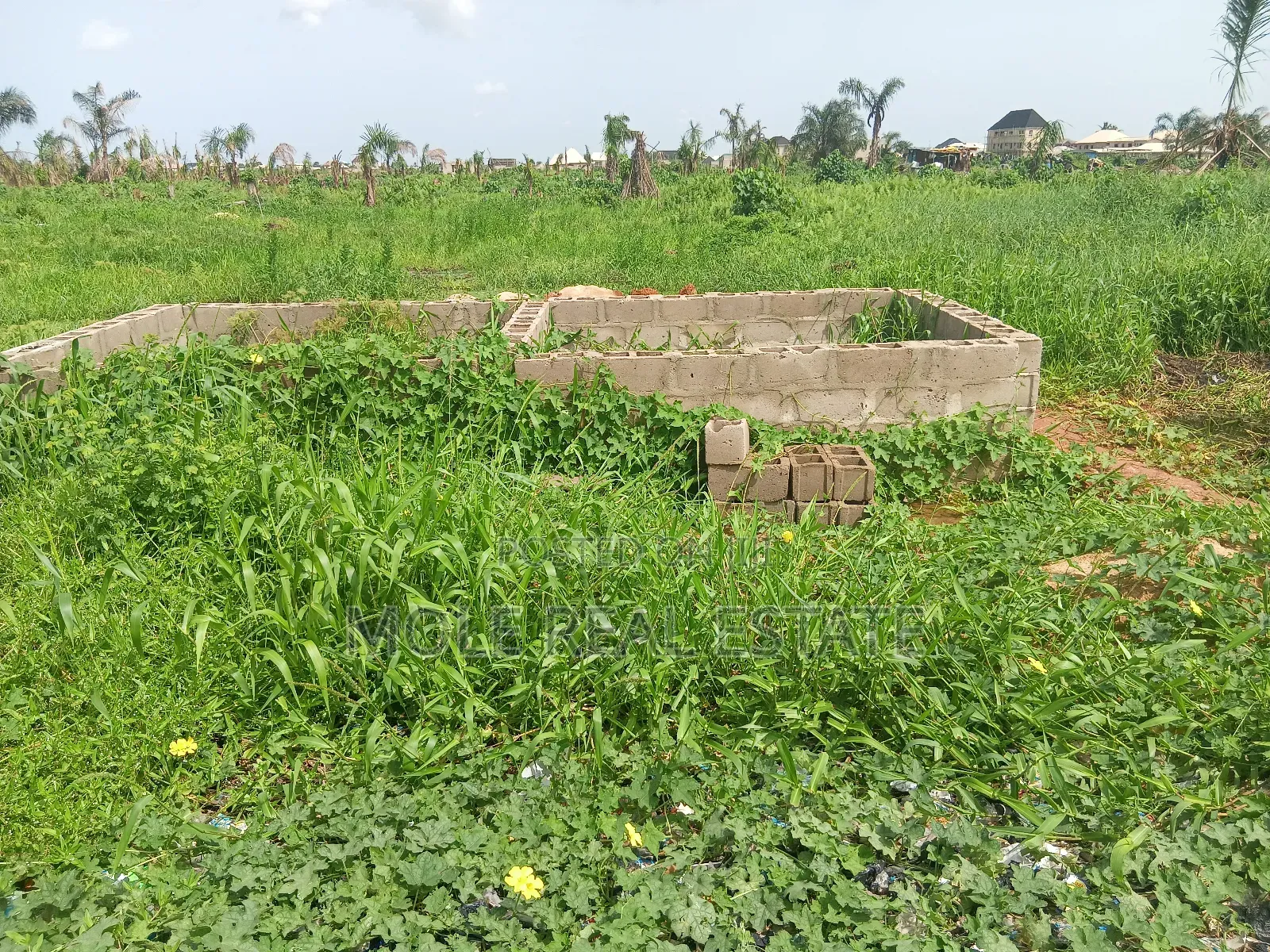 Old Ikoyi Land/ Banana Island 4 Sale ( 1