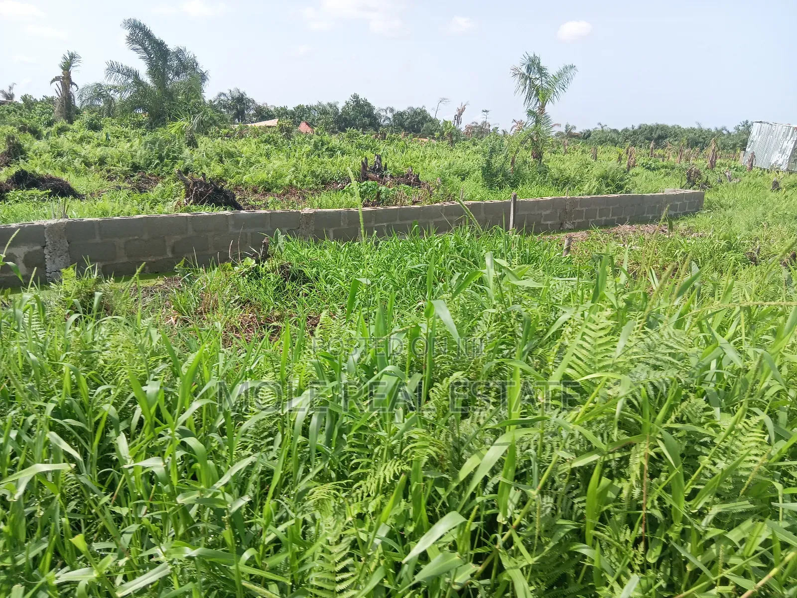 Old Ikoyi Plots 4 Sale Updated Version