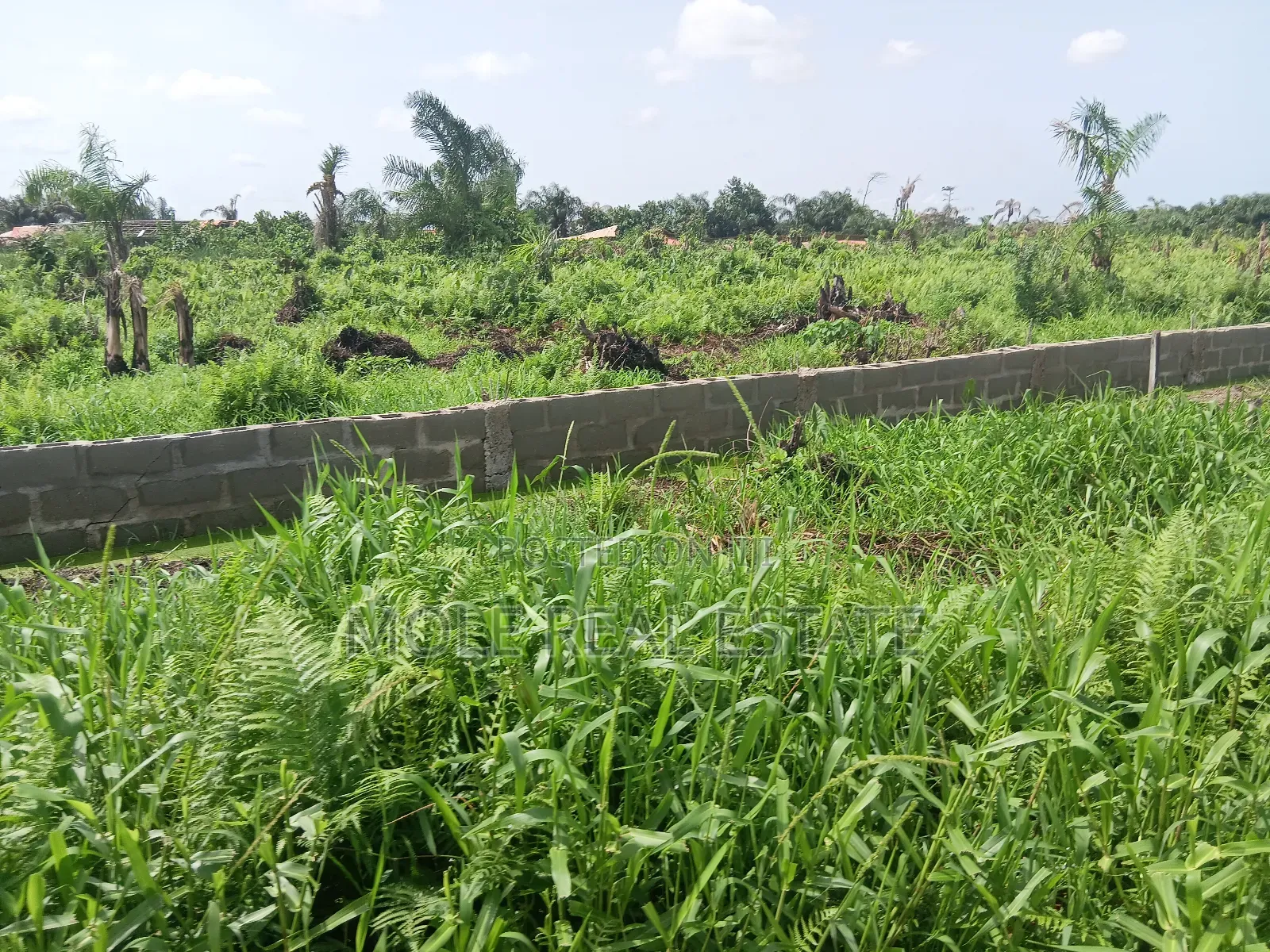 Old Ikoyi Plots 4 Sale Updated Version