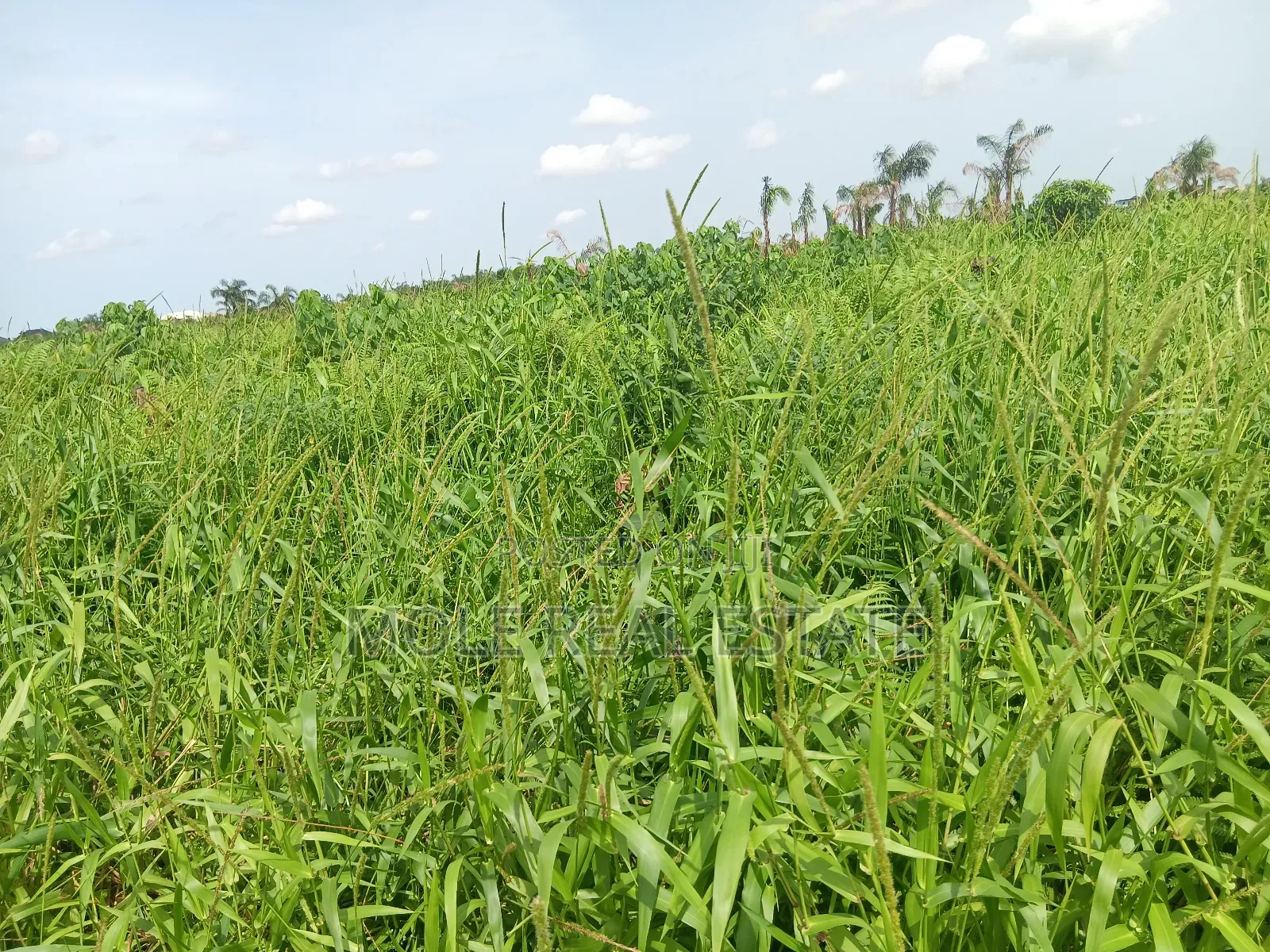 Old Ikoyi Plots 4 Sale Updated List