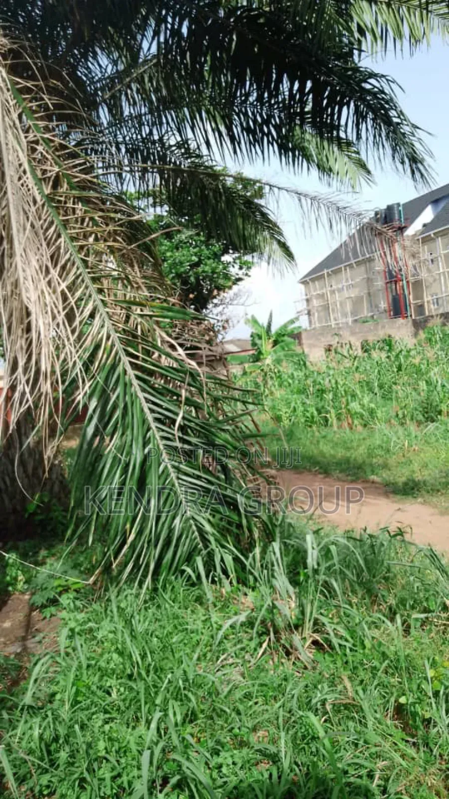 Full Plot of Land for Sale at Omitoro