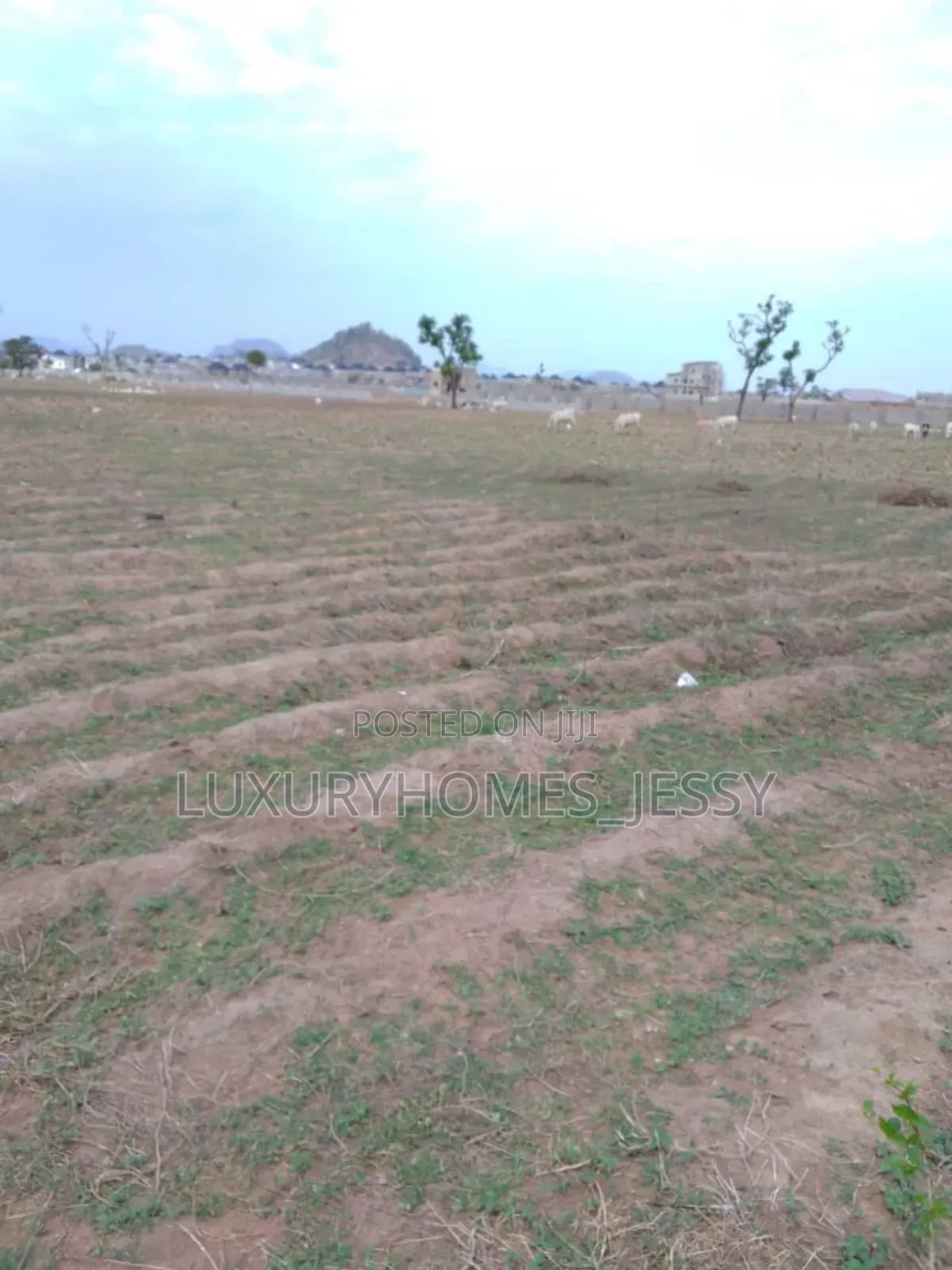 Affordable Land for Sale at Ifite Awka Anambra State