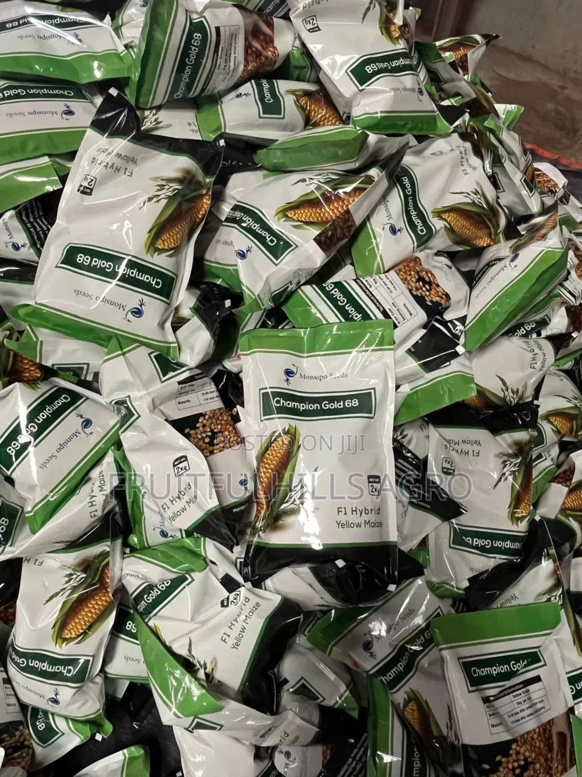 Champion Gold 68 Maize Seed
