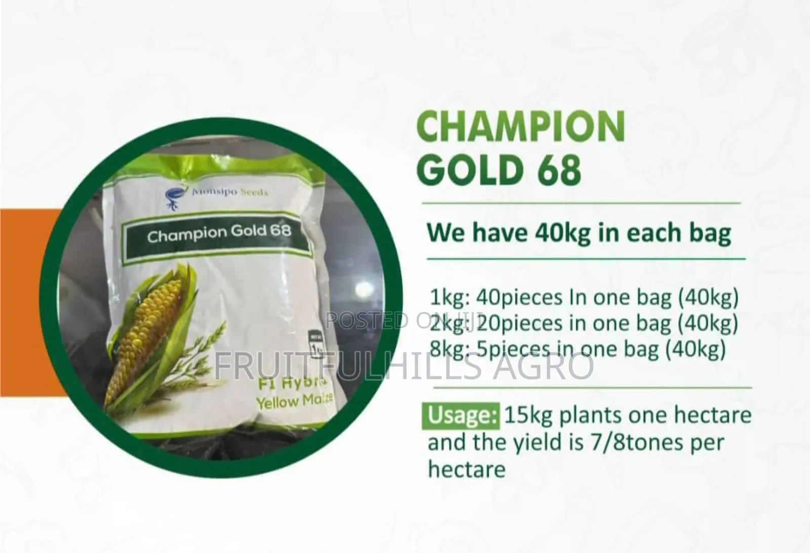 Champion Gold 68 Maize Seed