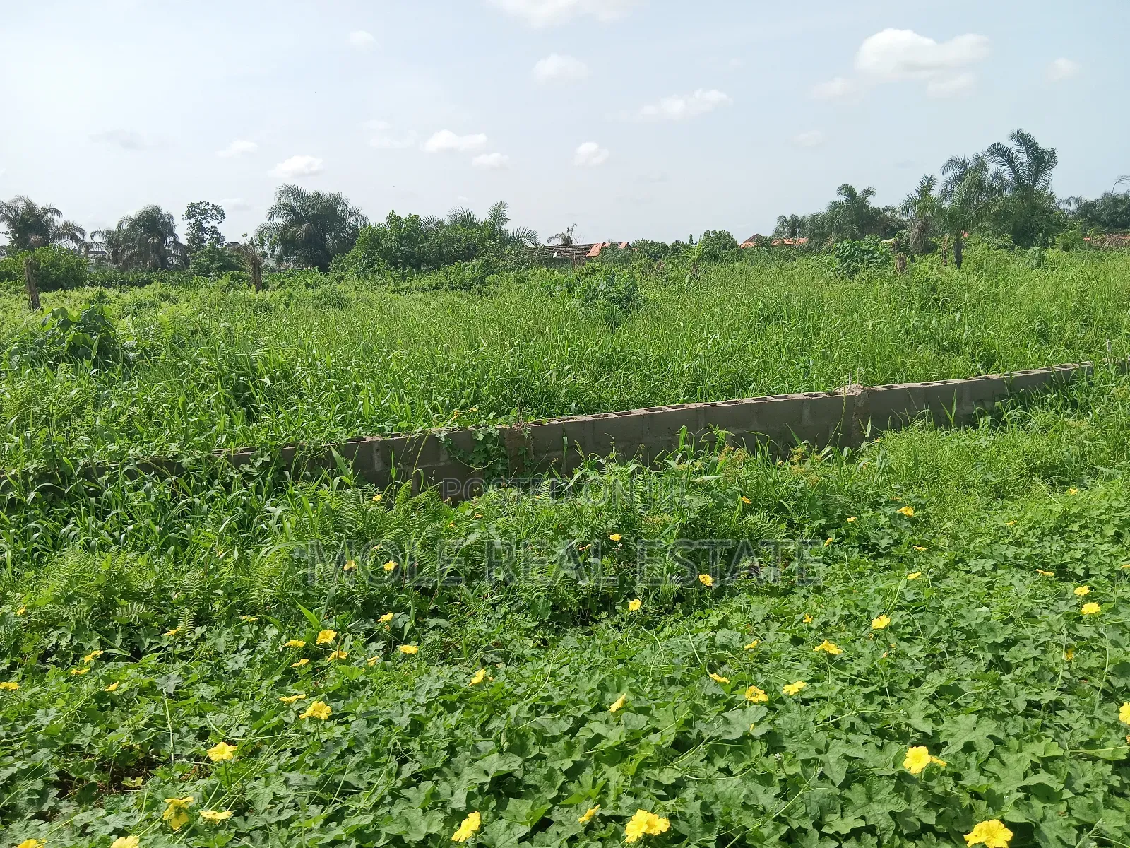 3400sqm Prime Land 4 Sale by St. Gregory Ikoyi