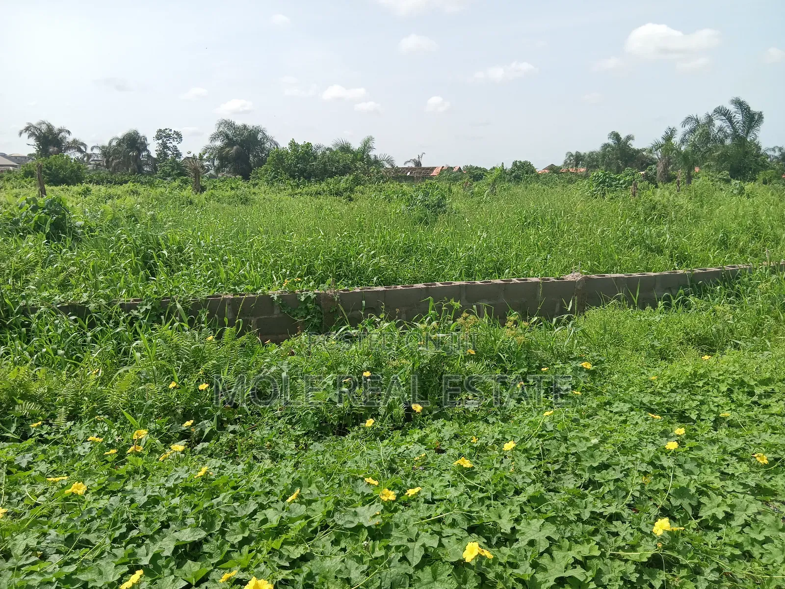 3400sqm Prime Land 4 Sale by St. Gregory Ikoyi