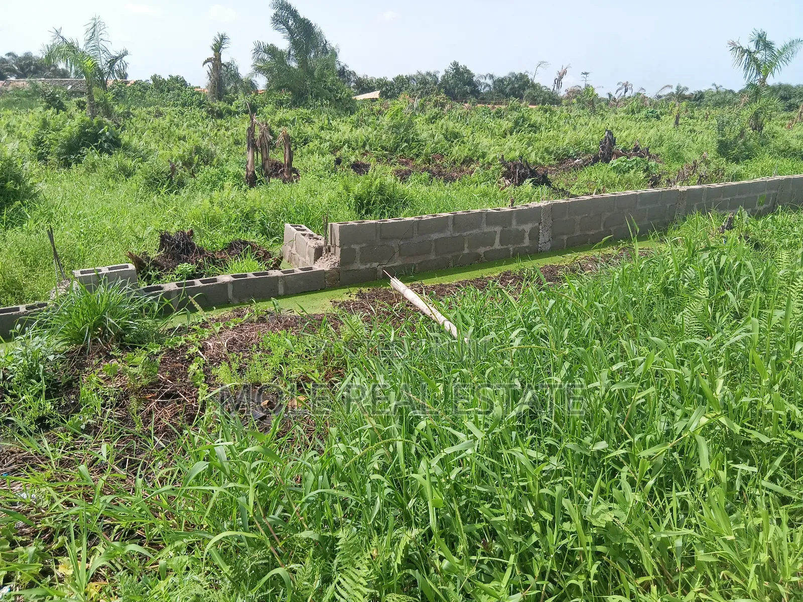979 483 SQM Ben Okagbue Leki Phase 1