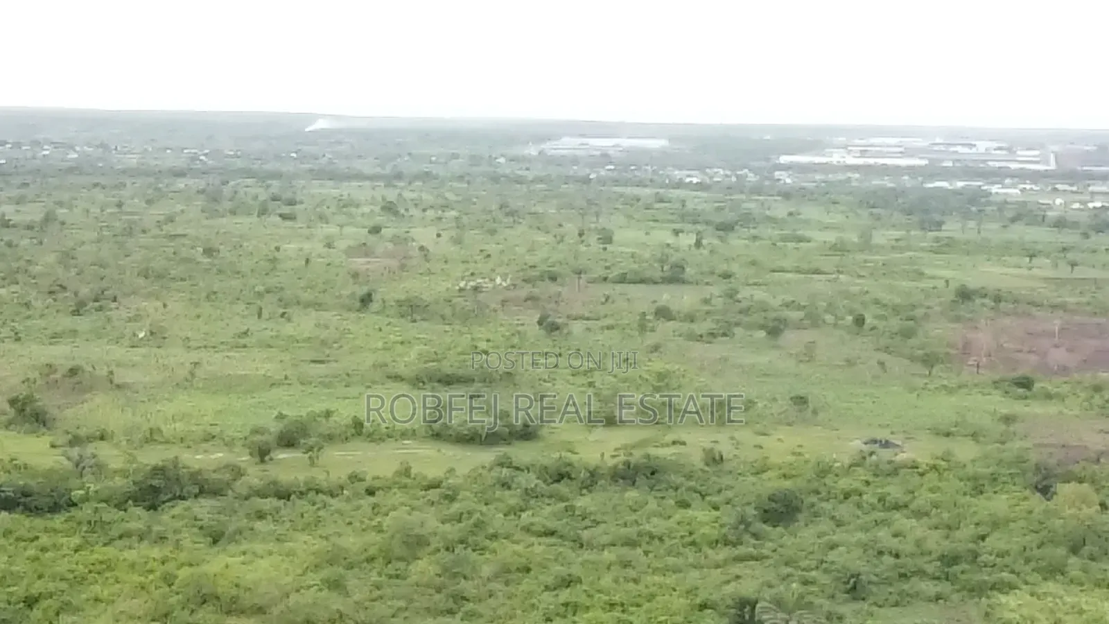 Ewekoro Goldmine