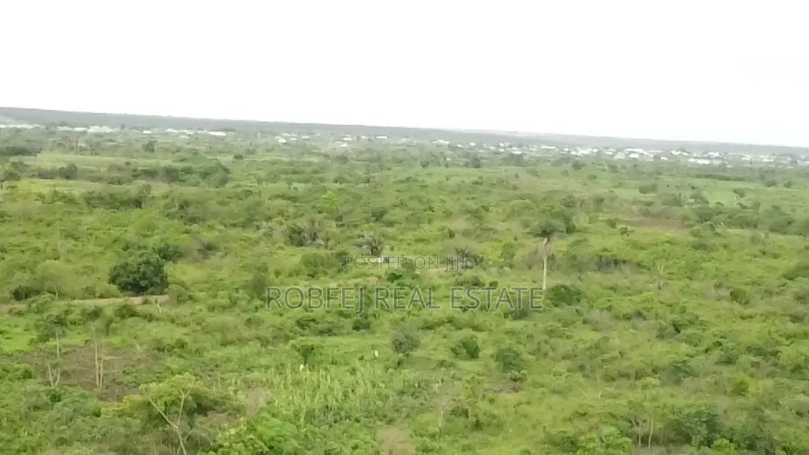 Ewekoro Goldmine