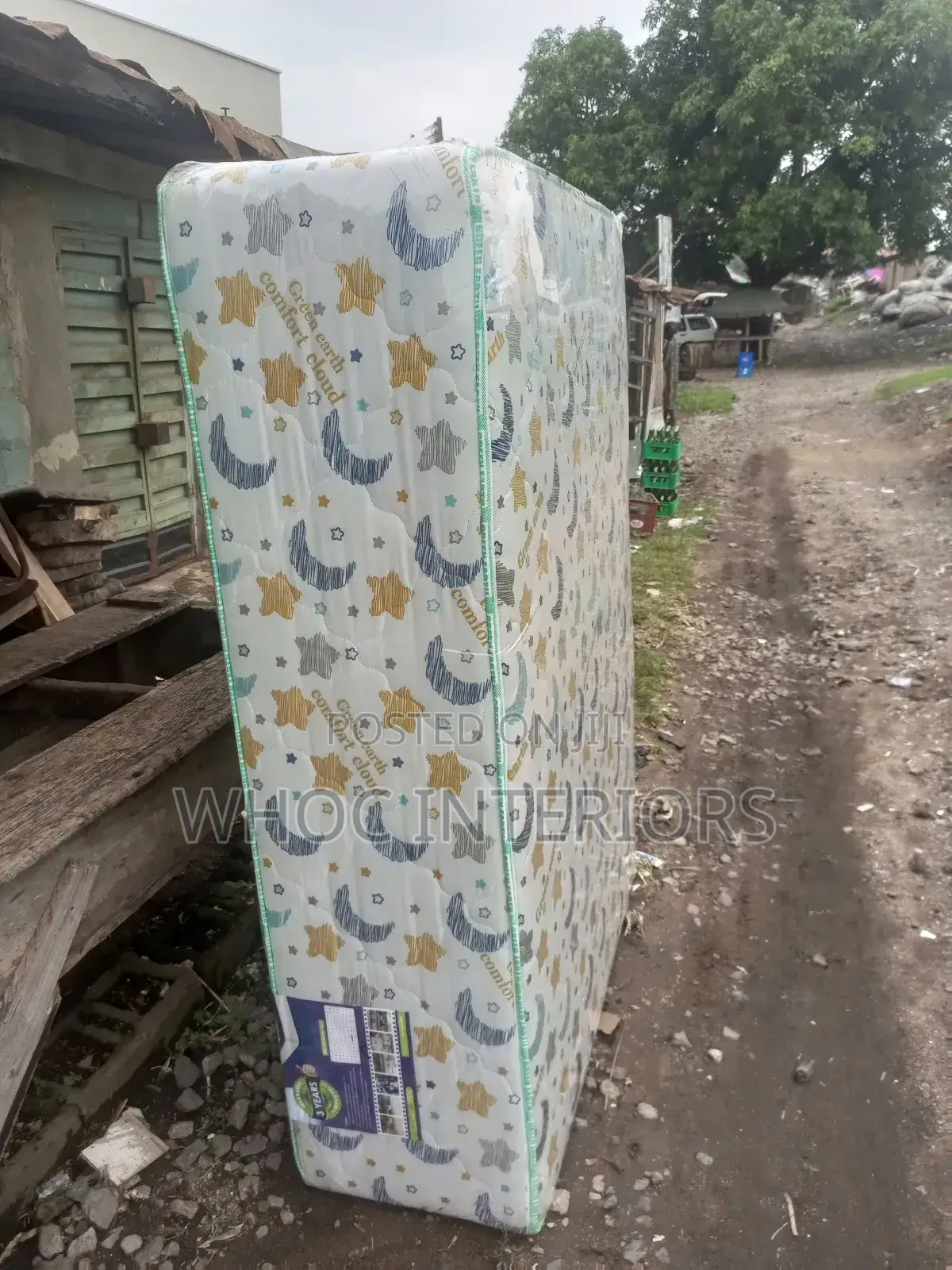 4.5 by 6 by 20 Inches Green Earth Semi Orthopedic Mattress