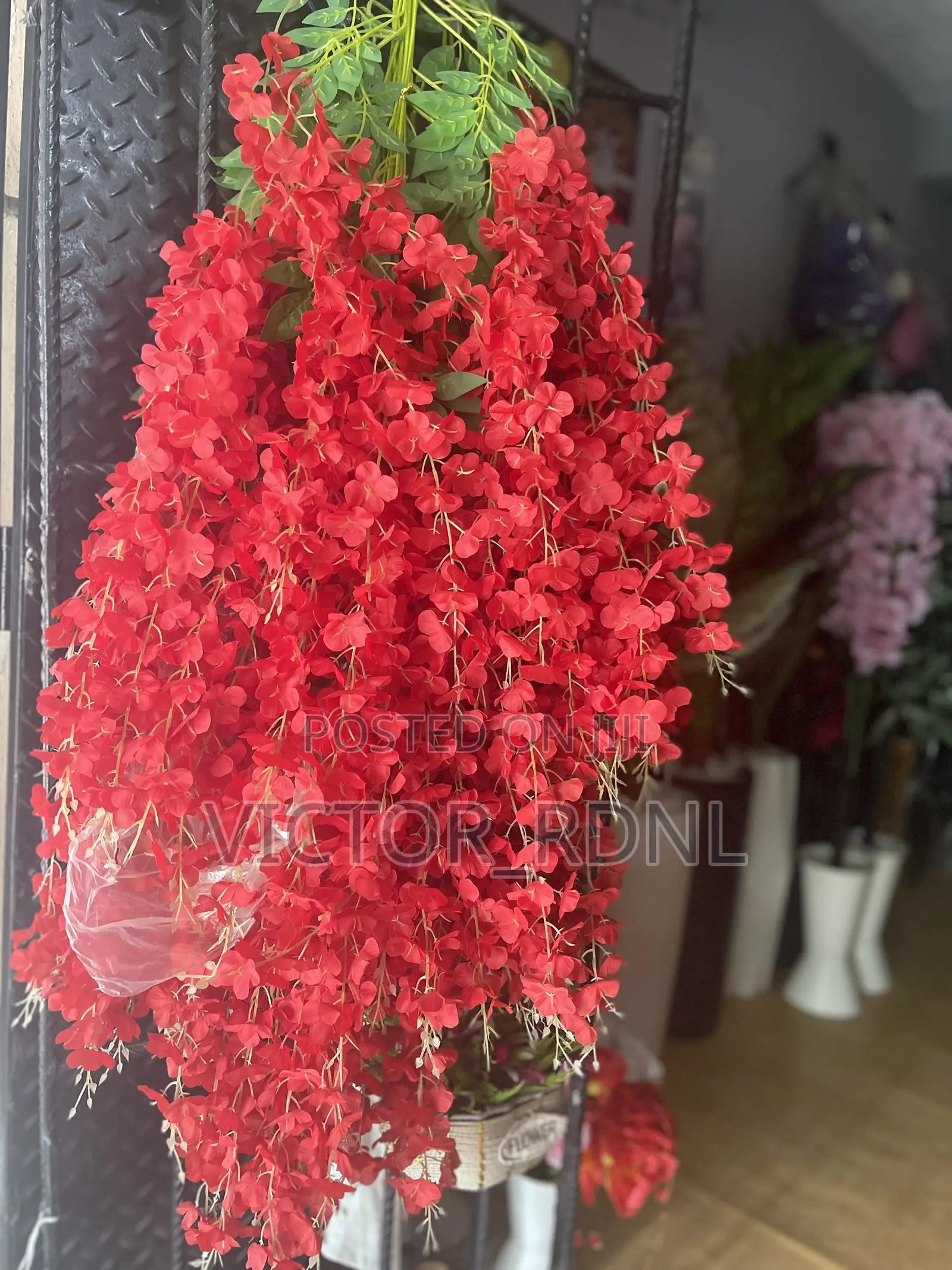 Victor_rdnl Flower and Plant World