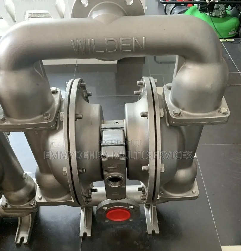 Stainless Diaphragm Wilden Pump