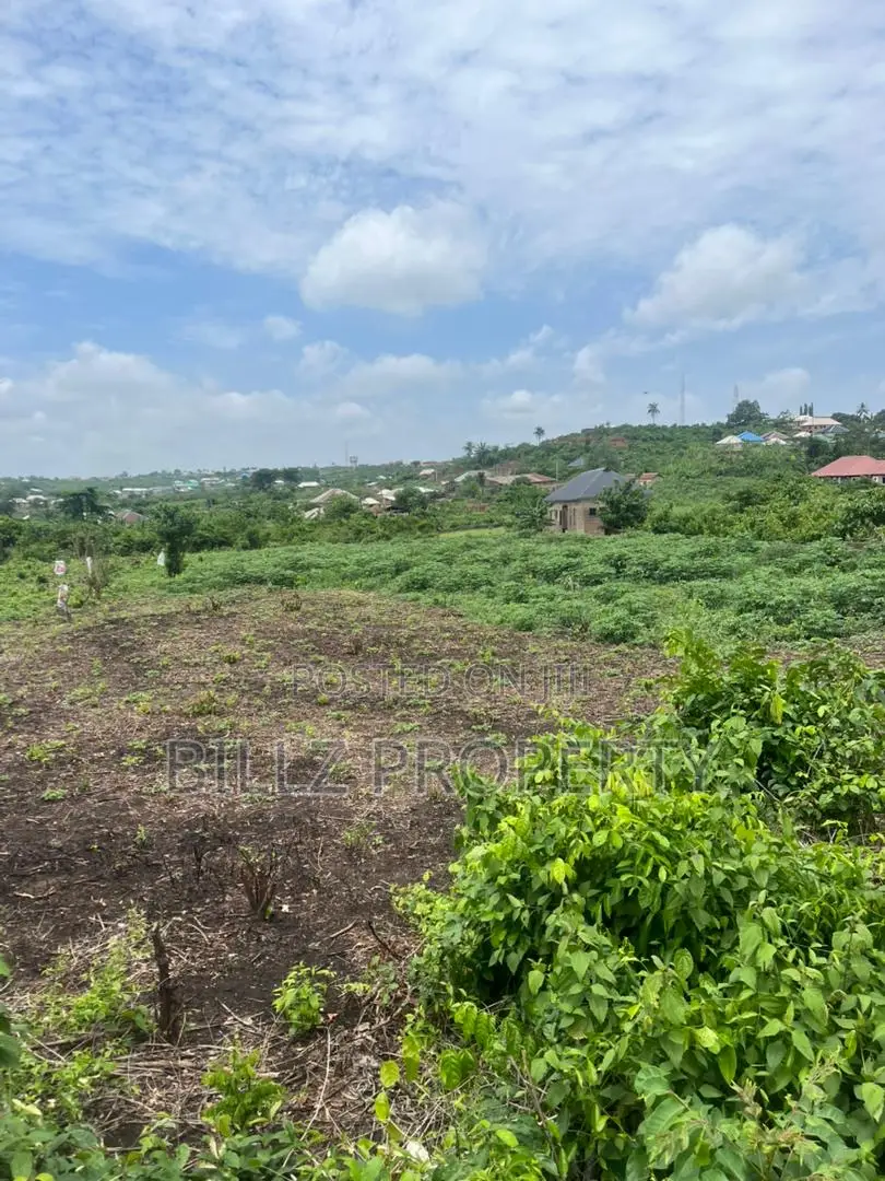 A Complete Full Plot of Land in a Serene Environment