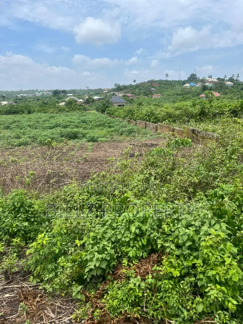 A Complete Full Plot of Land in a Serene Environment