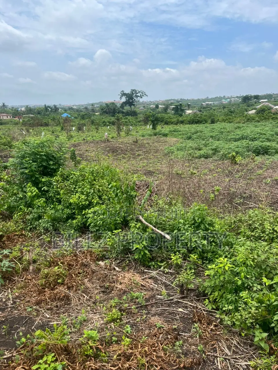 A Complete Full Plot of Land in a Serene Environment