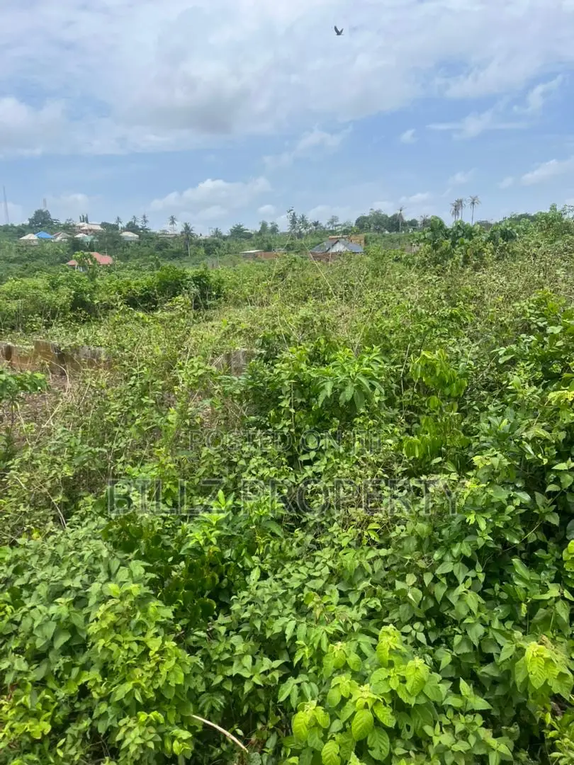 A Complete Full Plot of Land in a Serene Environment
