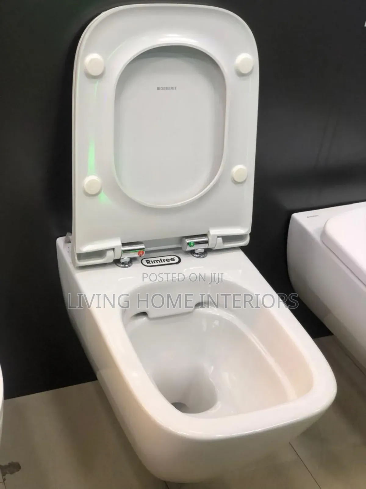 Geberit Conceal Toilet Seat 01