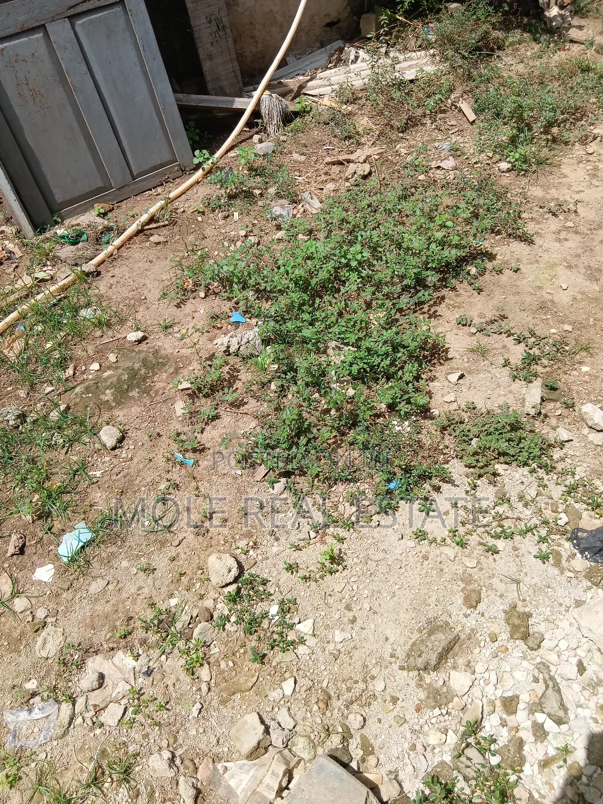 10 000sqm Plots of Land 4 Siale Leki Expressway