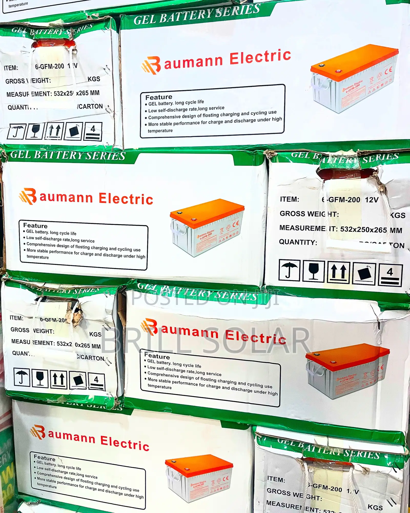 12v-200ah Baumann Electric Solar Gel Battery