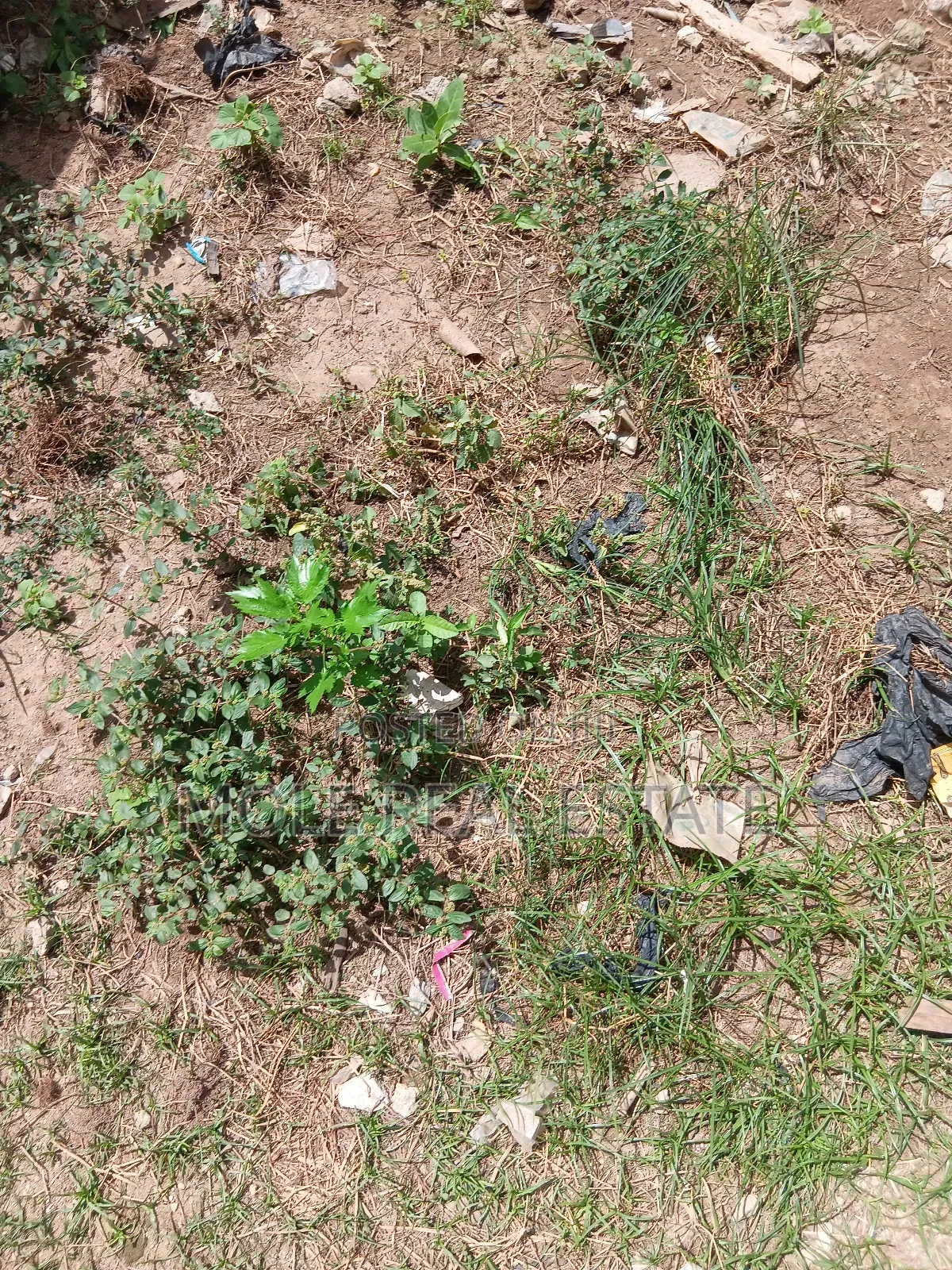 5000+ SQM Mixed (Jv) Joiiint Vvennture Victoria Island