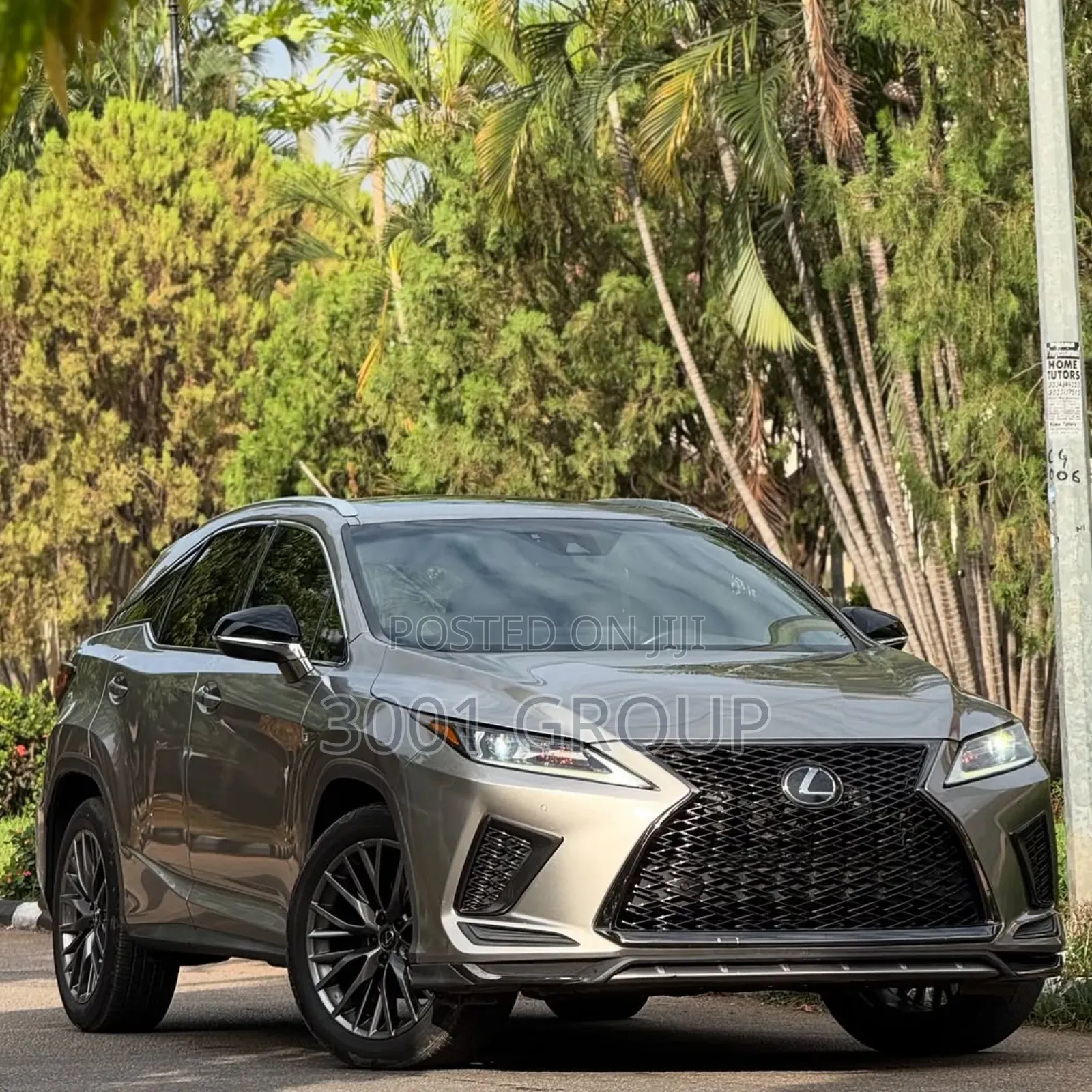 Lexus RX 2020 Gray