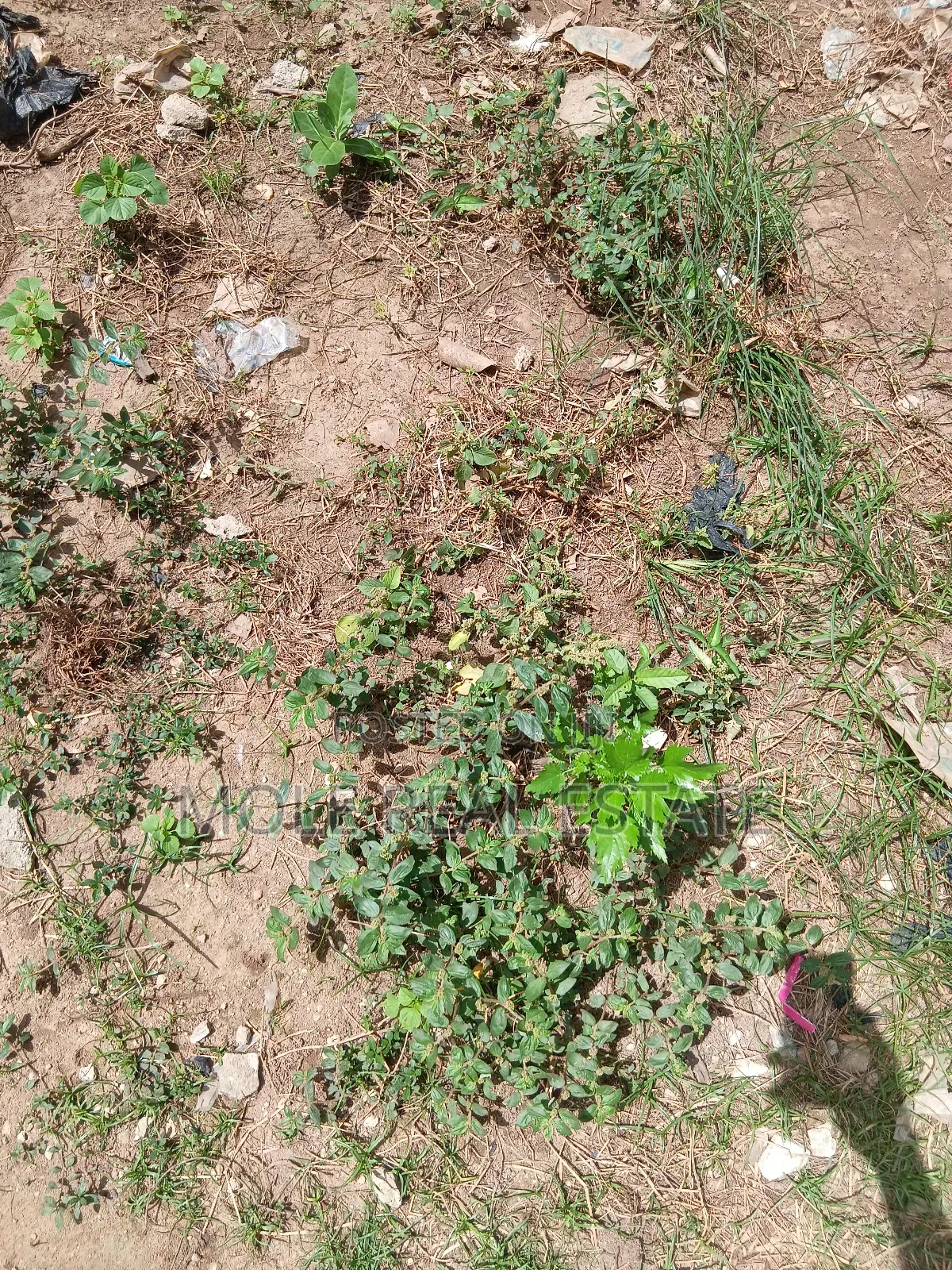 650sqm Plot Spark Light Estate Opic Via Ojodu Beger