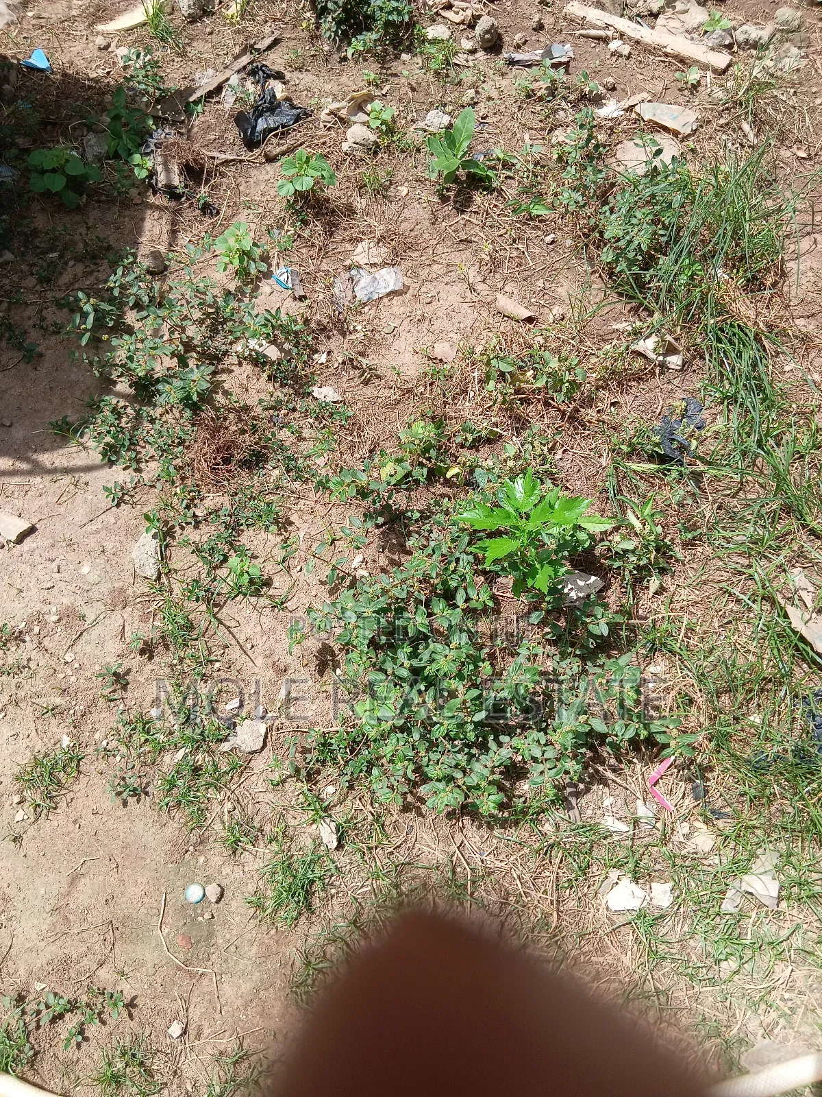 650sqm Plot 4 Sale Orange Island Estate