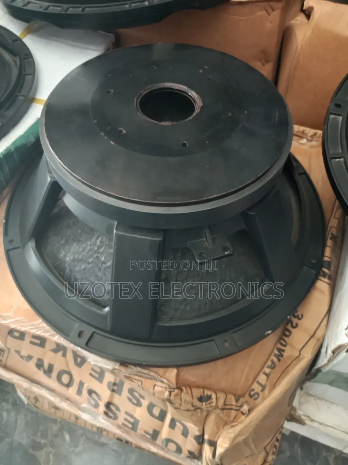 Professional Naked Speaker 18"Speaker