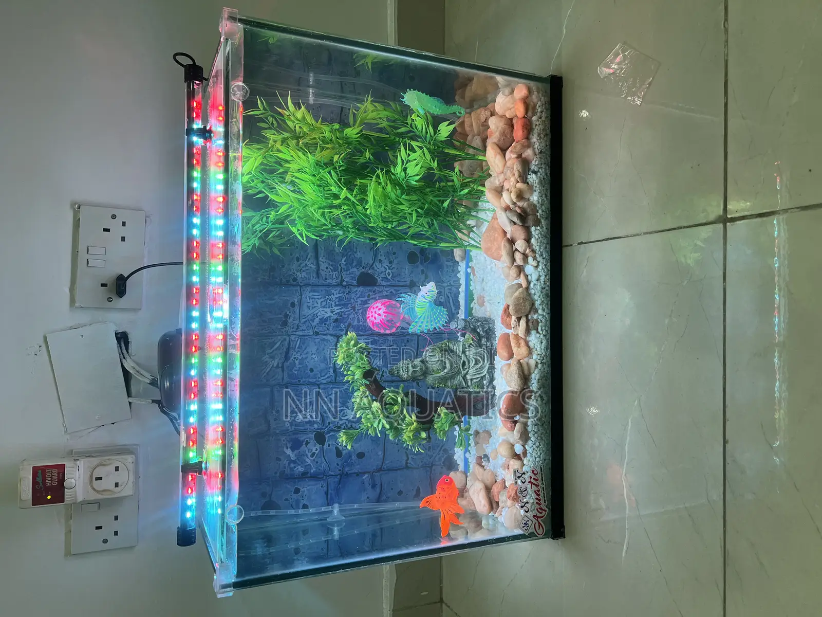 2ft by 20 Inch Aquarium