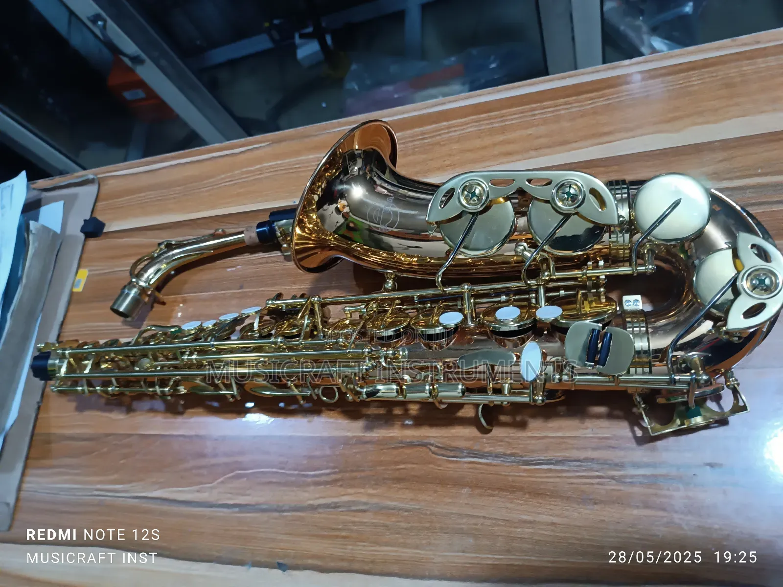 Eva Professional Alto Saxophone