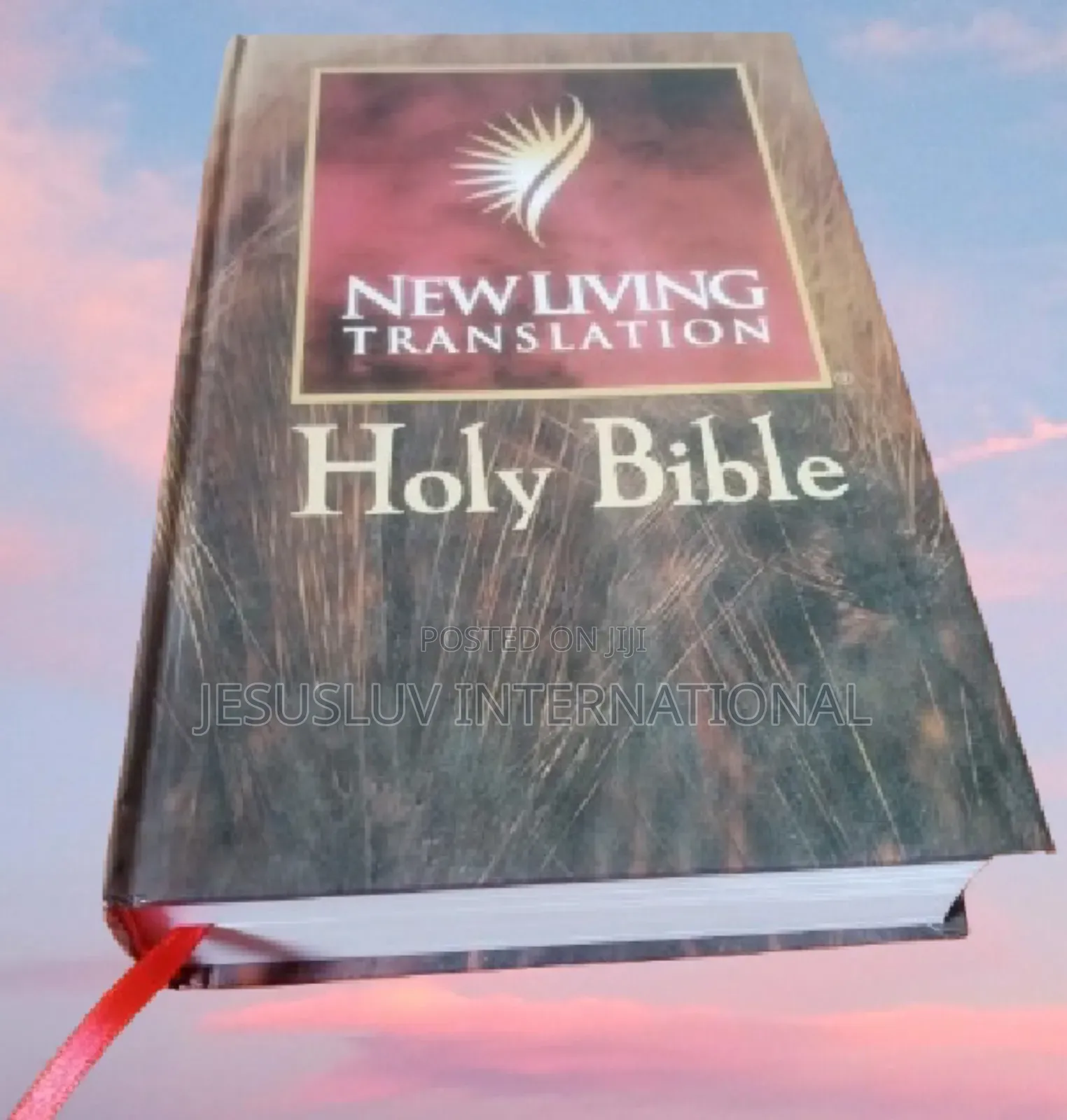 New Living Translation (Nlt) Large Print Bible -Hardcover