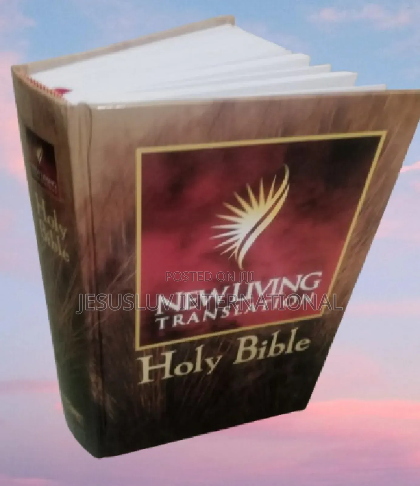 New Living Translation (Nlt) Large Print Bible -Hardcover