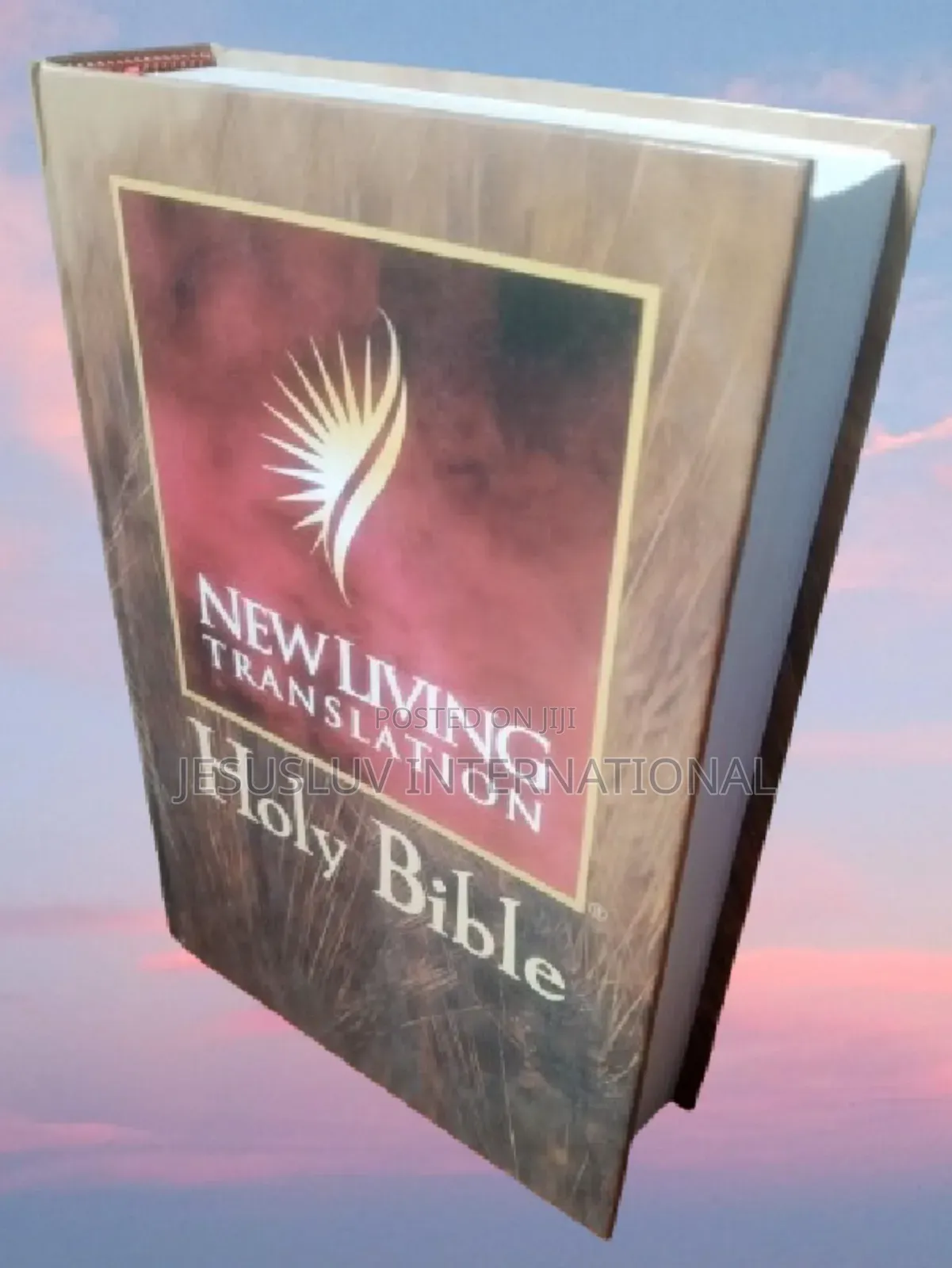 New Living Translation (Nlt) Large Print Bible -Hardcover