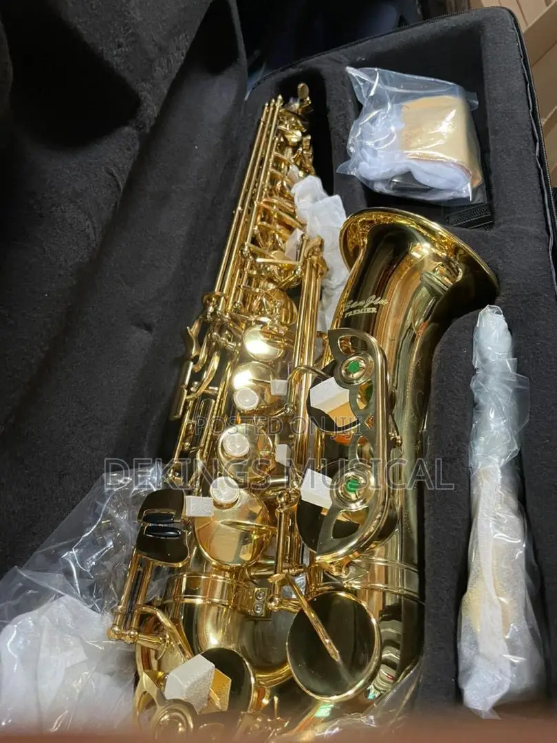 San Jin Professional Alto Saxophone Gold Pro Sax