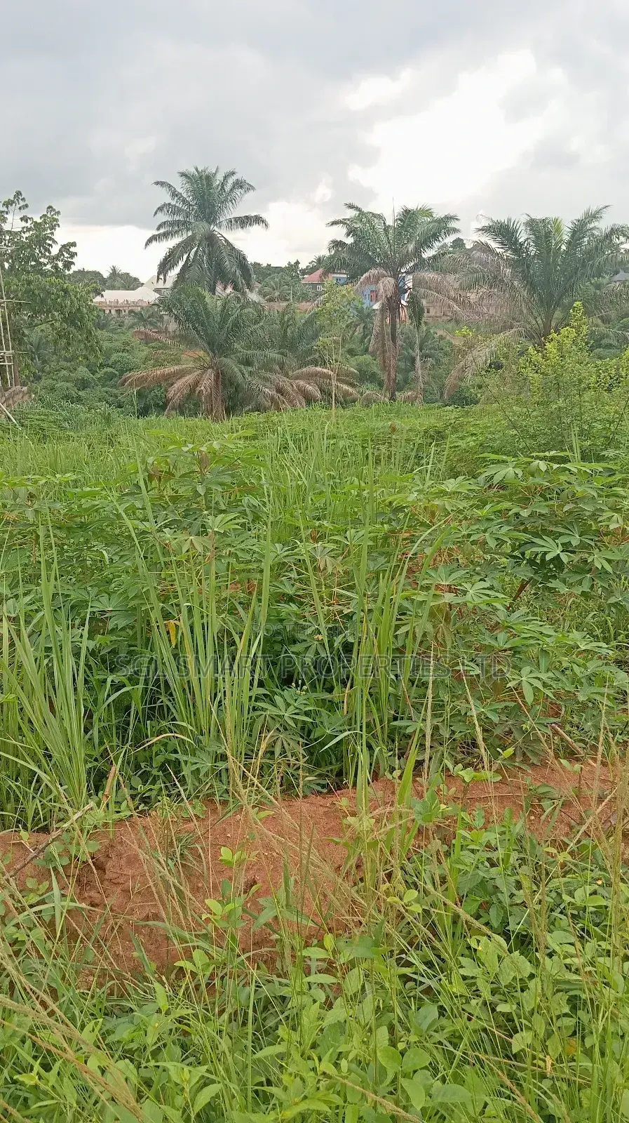 Land for Sale at Nibo