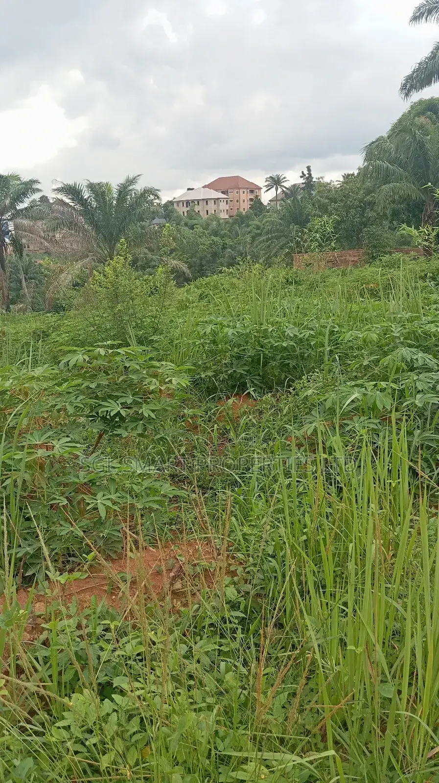 Land for Sale at Nibo