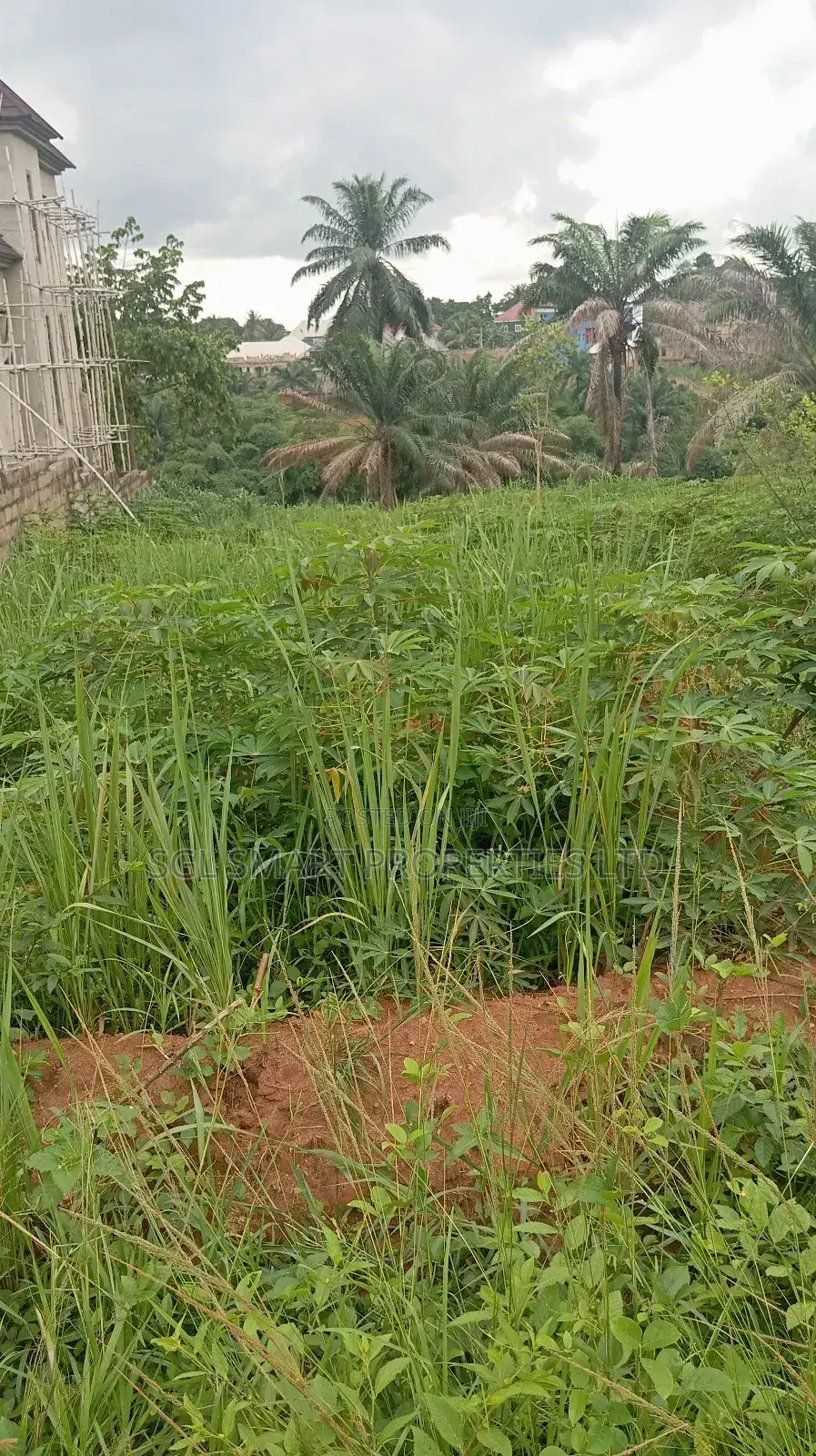 Land for Sale at Nibo