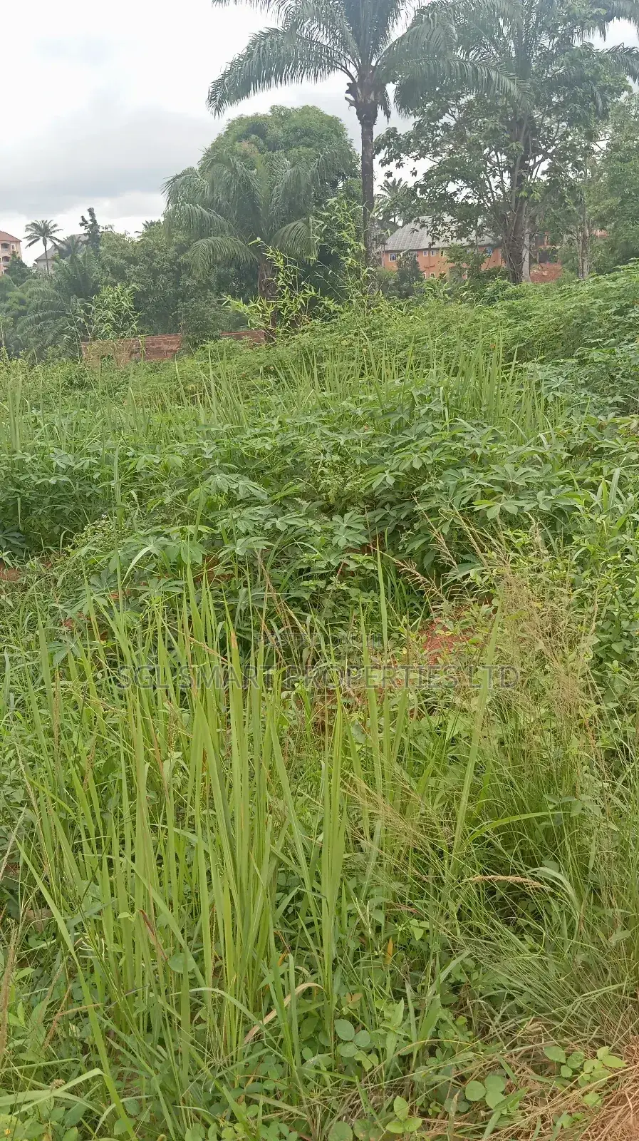 Land for Sale at Nibo