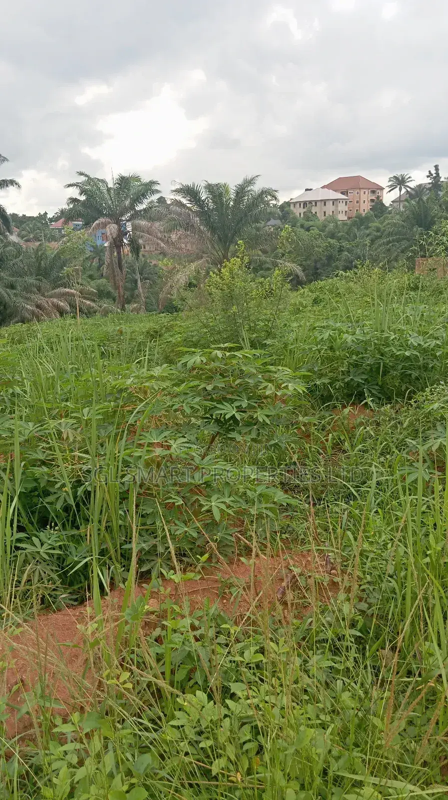 Land for Sale at Nibo