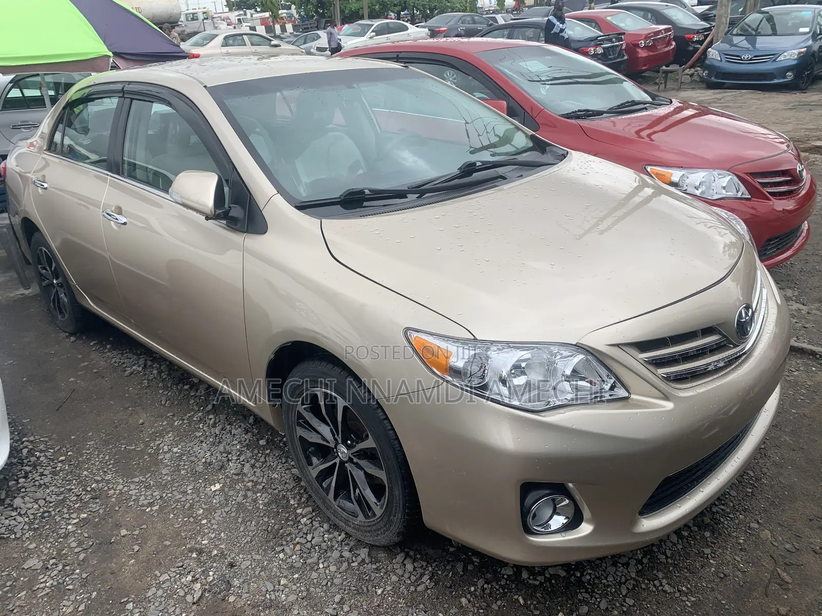 Toyota Corolla LE 4dr Sedan (1.8L 4cyl 4A) 2013 Gold