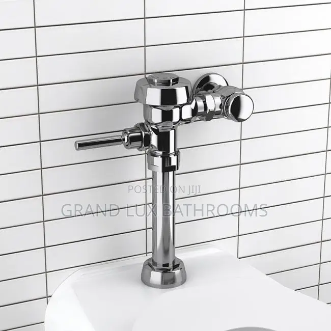 Sloan Valve Flushometer