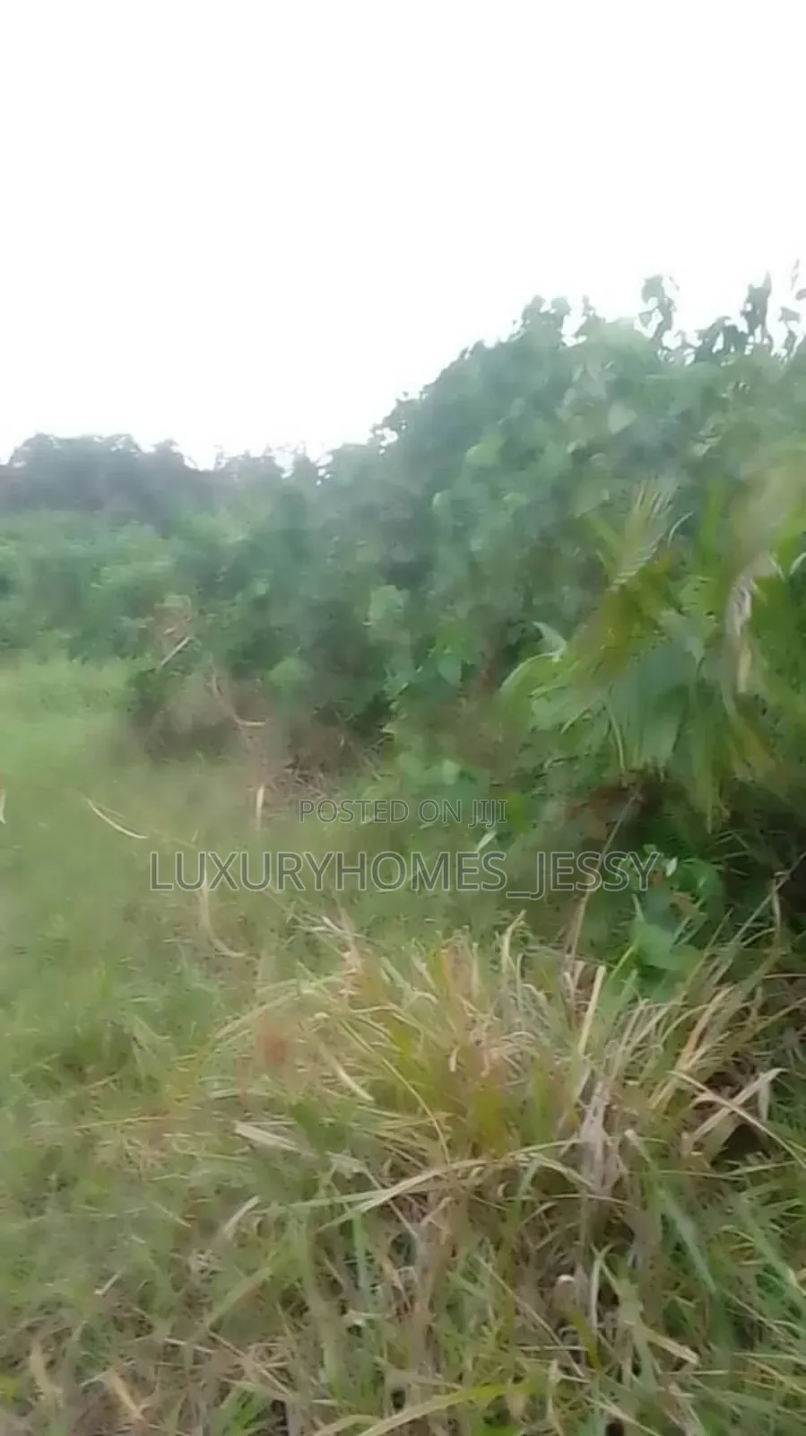 Distress Massive 200 Plots of Land for Sale at Enugu Agidi