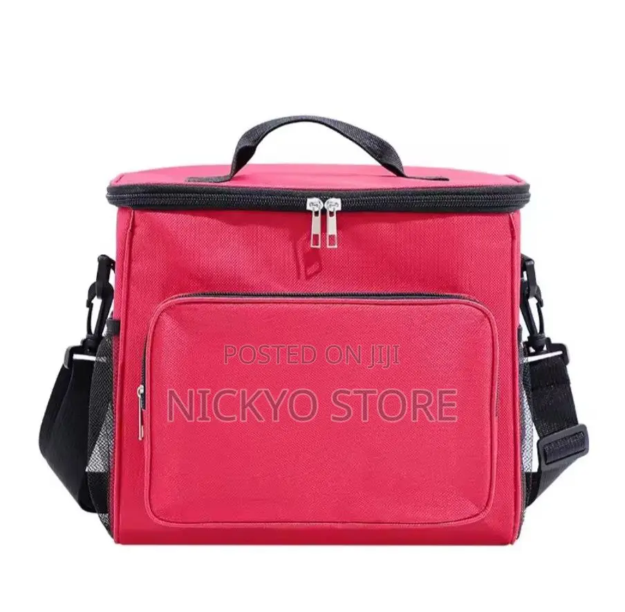 Insulated Cooler Lunch Bag Stylish Spacious Fresh