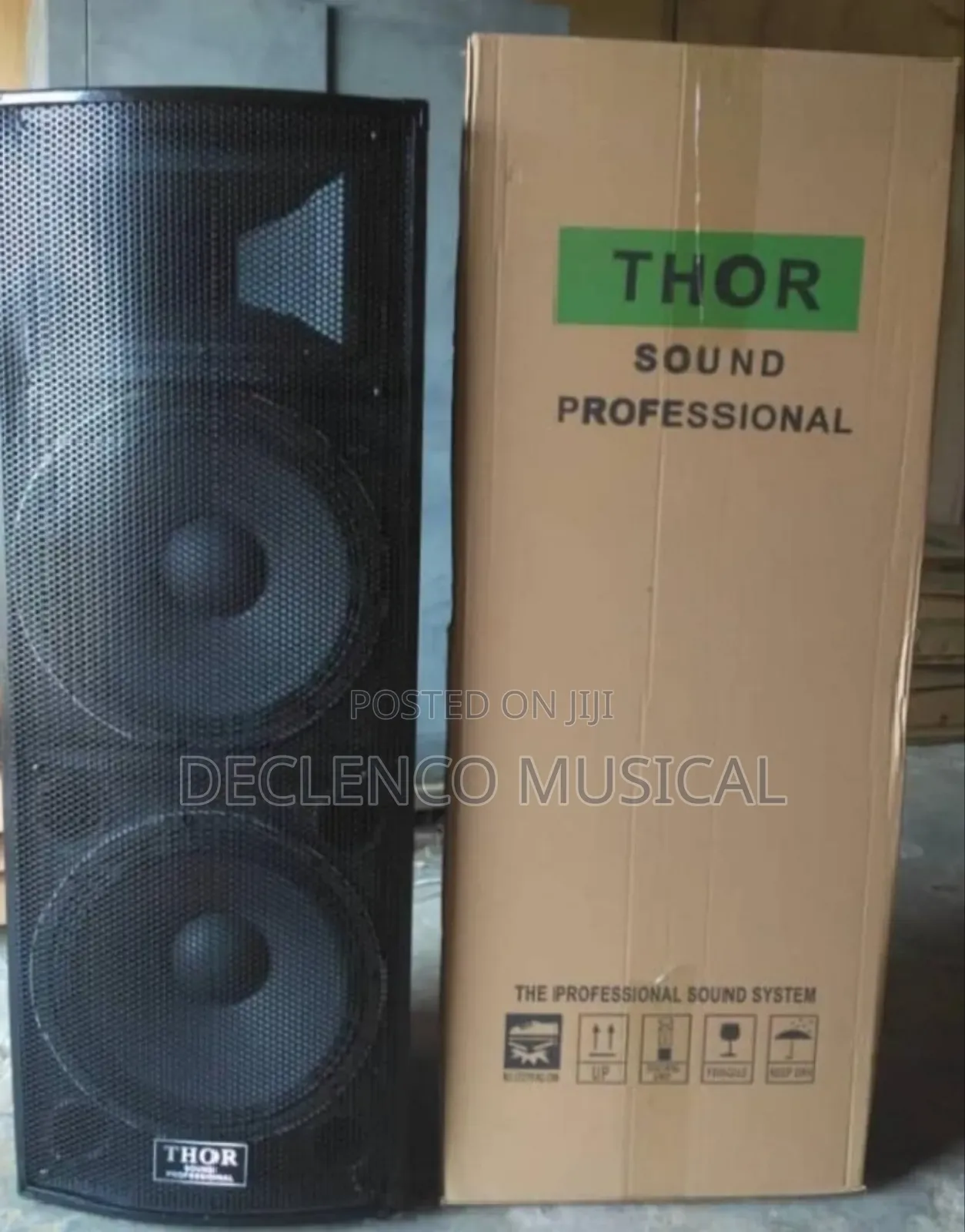 Thor Sound Full Range Professional Speaker